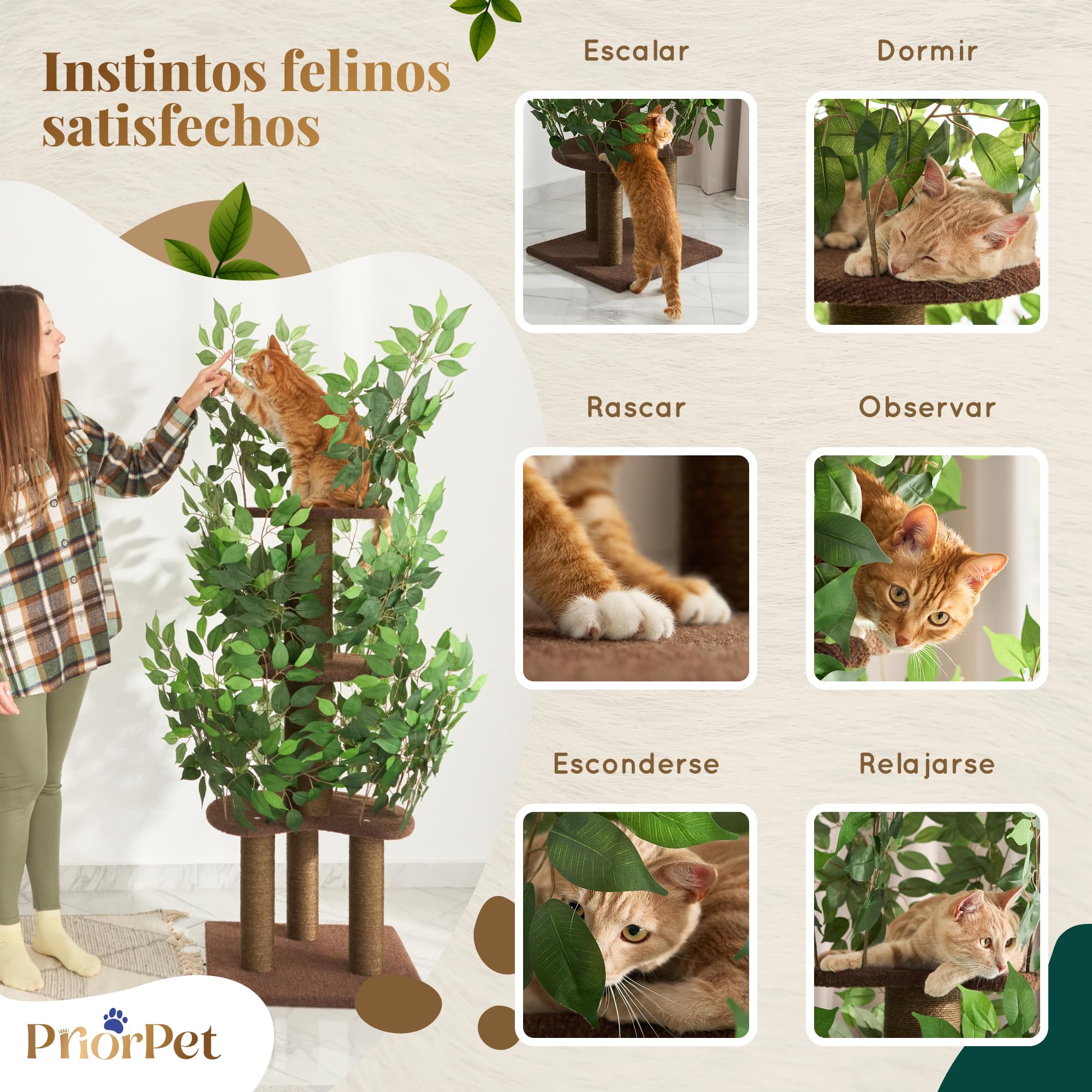 Arbol rascador con Hojas Compacto y Estable para Gatos Grandes – 4 Niveles para trepar, rascar y Descansar – Hojas seguras – Fácil Montaje – Materiales Resistentes y Aptos para Mascotas – 160CM