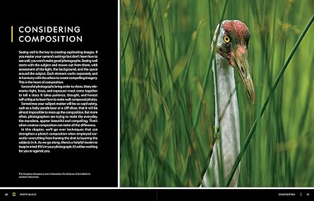 National Geographic Photo Basics: The Ultimate Beginner's Guide to Great Photography