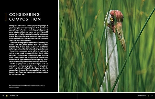 National Geographic Photo Basics: The Ultimate Beginner's Guide to Great Photography