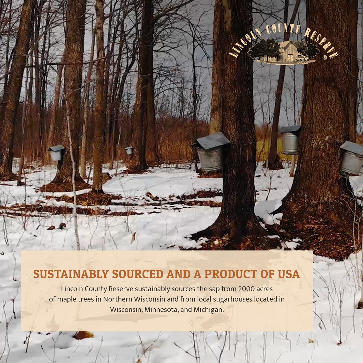 Lincoln County Reserve 100% Pure Maple Syrup with Robust Taste - 100% Pure Artisan Maple Syrup - Made in the USA,32 oz Glass Bottle