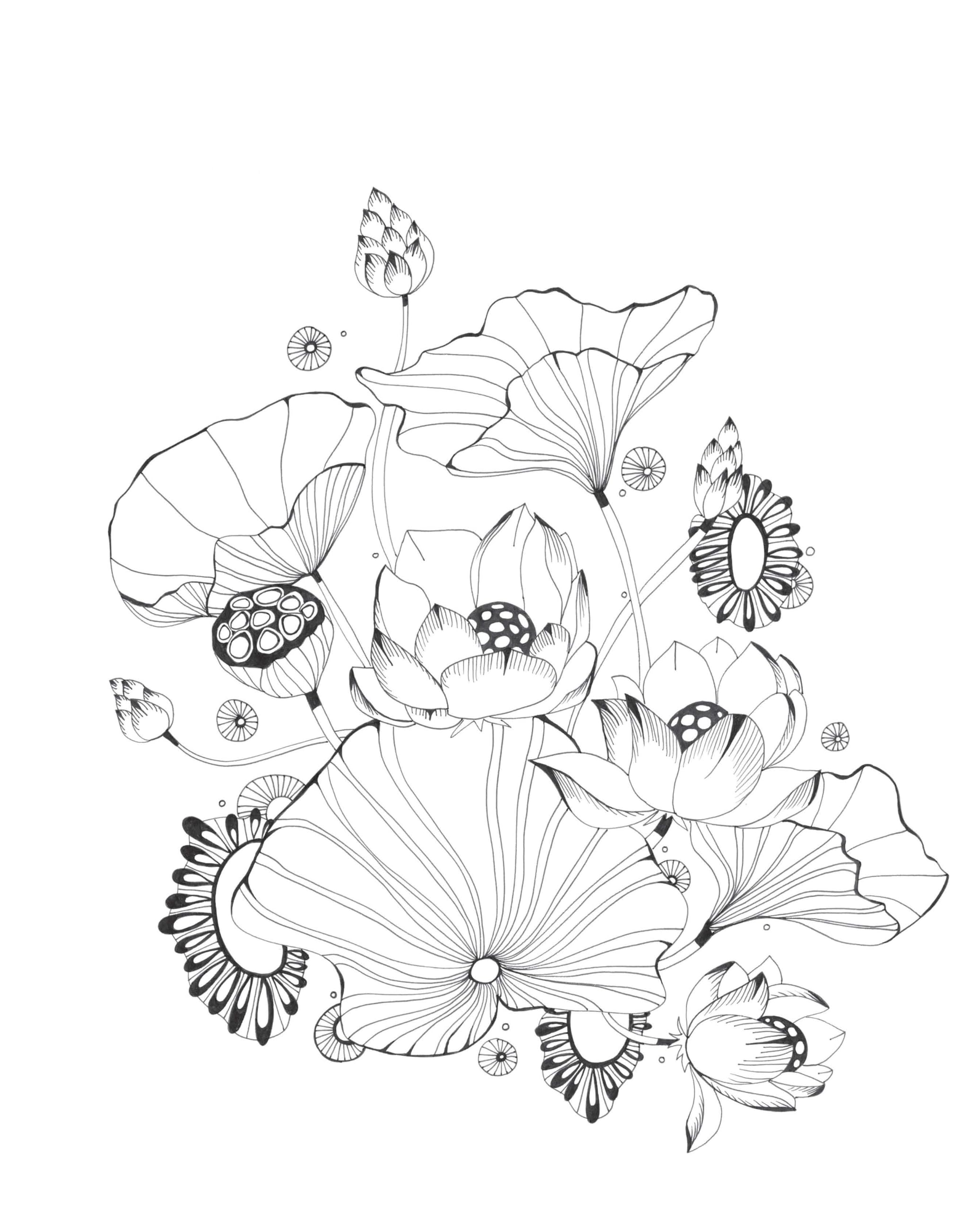 Botanical Wonderland: A Blissful Coloring Retreat (Coloring Wonderland)