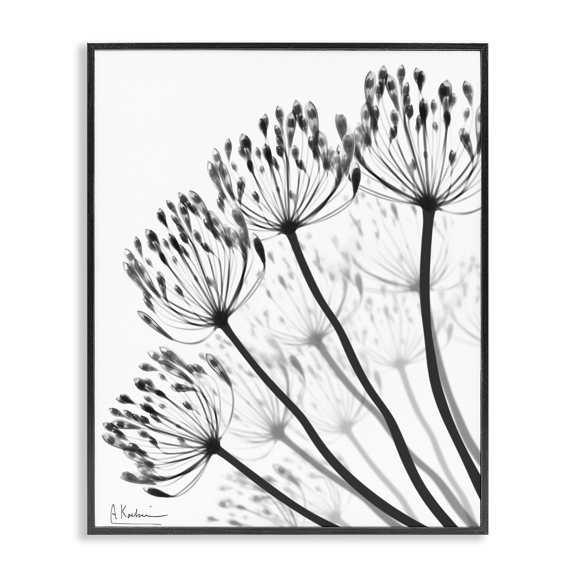Stupell Industries Midnight Black (Textured) 'Floral Fan Dandelions'| Framed Giclee Art