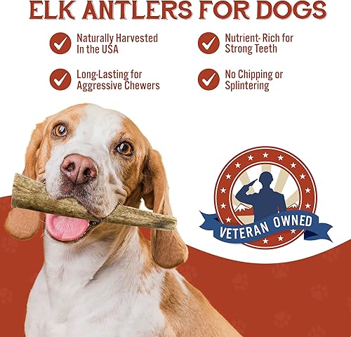 Miniatura 2 de Heartland - Cuernos de alce para perros, grado A, cuernos de desprendimiento natural  Huesos de perro para masticadores agresivos y cachorros de