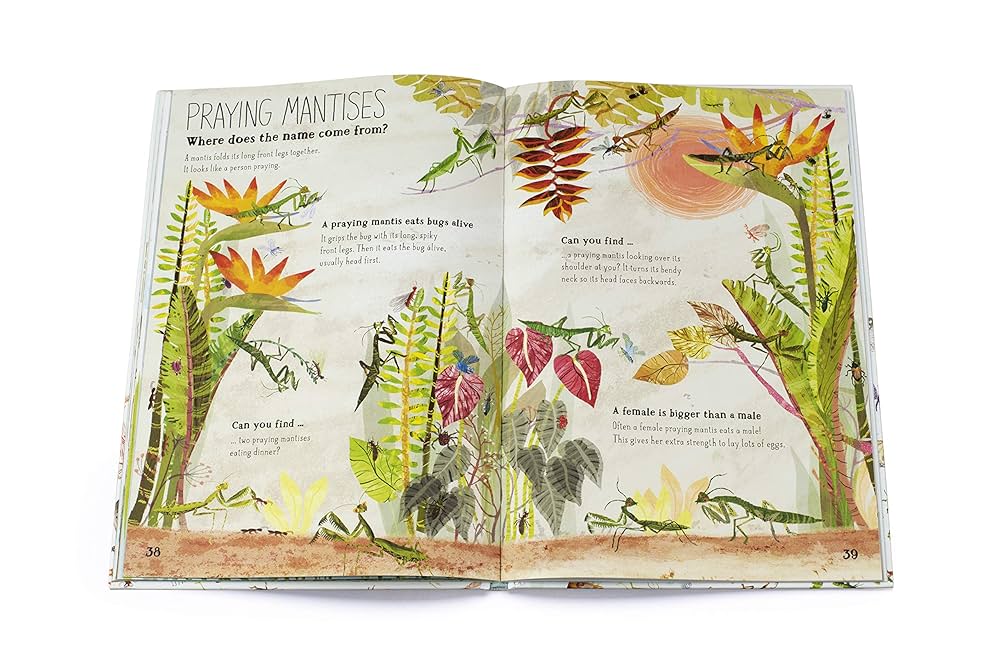 Amazon | The Big Book of Bugs | Zommer, Yuval | Diseases