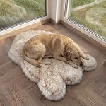 Faux Fur Orthopedic Dog Bed, Memory Foam, White w/Brown Tips 50"x30" | Plush Washable Dog Rug with Waterproof Machine Washable Cover, Calming for Anxious Senior Dogs, Relieves Joints