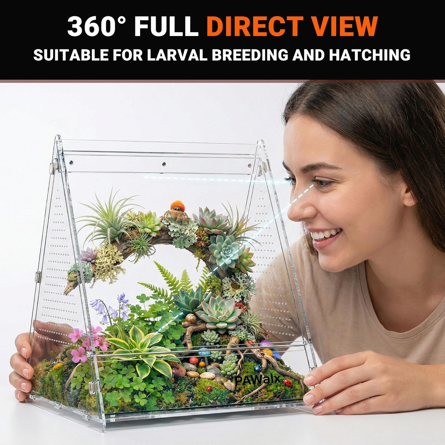 Triangular Jumping Spider Enclosure, Acrylic Terrarium with Magnetic Doors, 0.8mm Micro-Ventilation& Escape-Proof Design for Tarantulas, Lizards, Small Pets, 9.4"x10.9"x10.6"