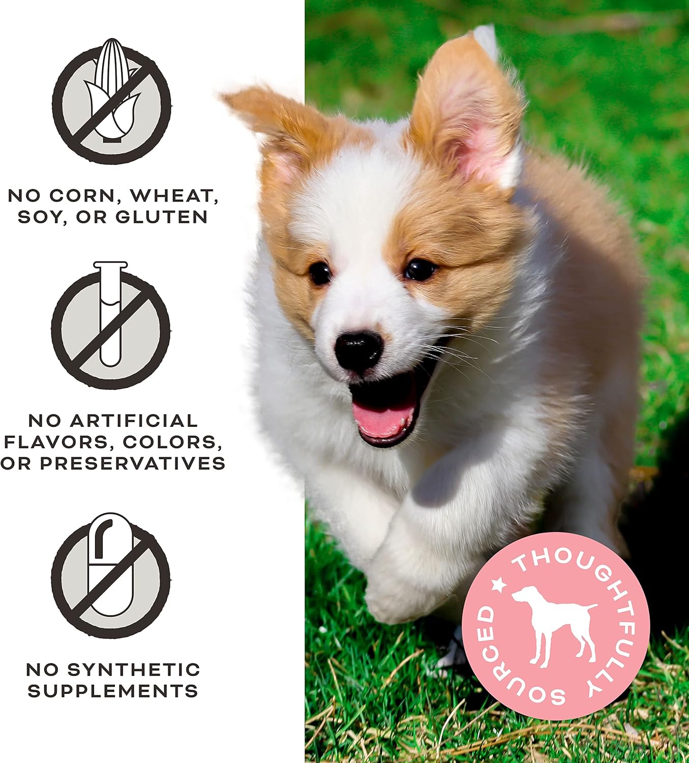 Primal Freeze Dried Raw Dog Food & Treats, Beef Essentials Bundle - Includes Nuggets, Cupboard Cuts, Pronto, and Dehydrated Beef Lung Treats 1.5, 14, 16 & 18 OZ