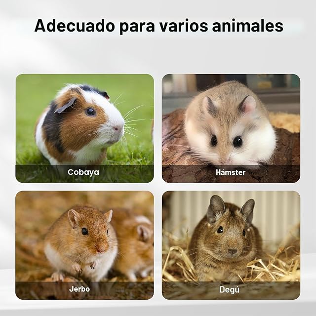Foto 8 de 8 de Jaula XXL caseta Madera Tipo casa roedores Animales pequeños ratón hámster