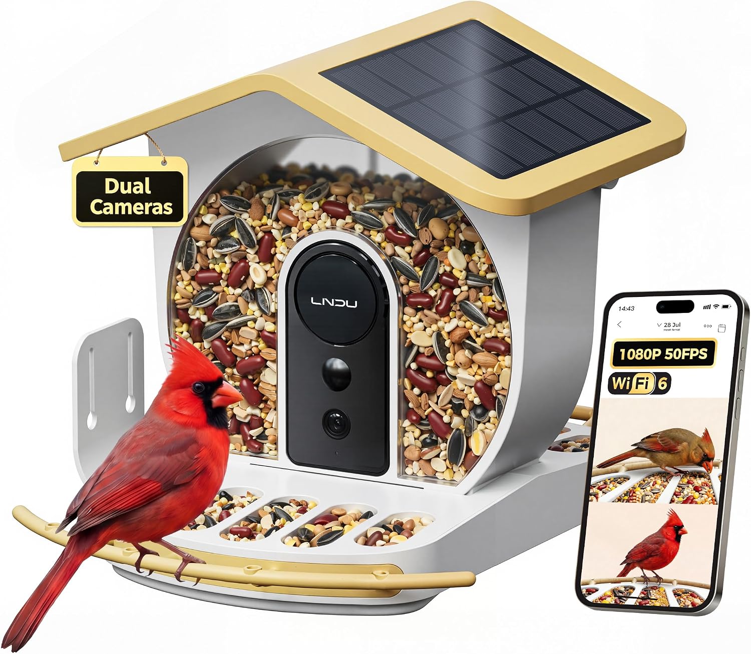 Bird Feeder with Camera, Dual Cameras 1080P 50FPS Smart Bird Feeder for Outside, AI Bird Recognition, Solar Powered WiFi 6, IP65 Waterproof