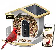 Bird Feeder with Camera, Dual Cameras 1080P 50FPS Smart Bird Feeder for Outside, AI Bird Recognition, Solar Powered WiFi 6, IP65 Waterproof