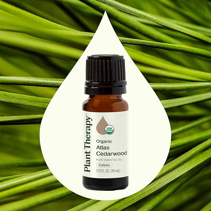 Plant Therapy Aceite Esencial Orgánico de Cedro del Atlas 10 mL miniatura 4