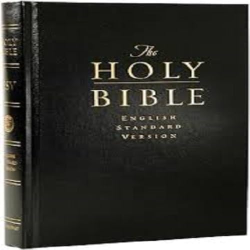The Gospel in English