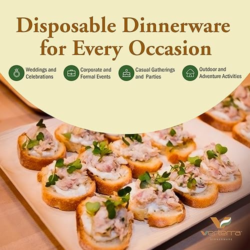 Miniatura 5 de VerTerra Plato cuadrado de hoja de palma de 7 pulgadas (paquete de 50)  cuadrado, premium, resistente, 100% compostable, ecológico, apto para