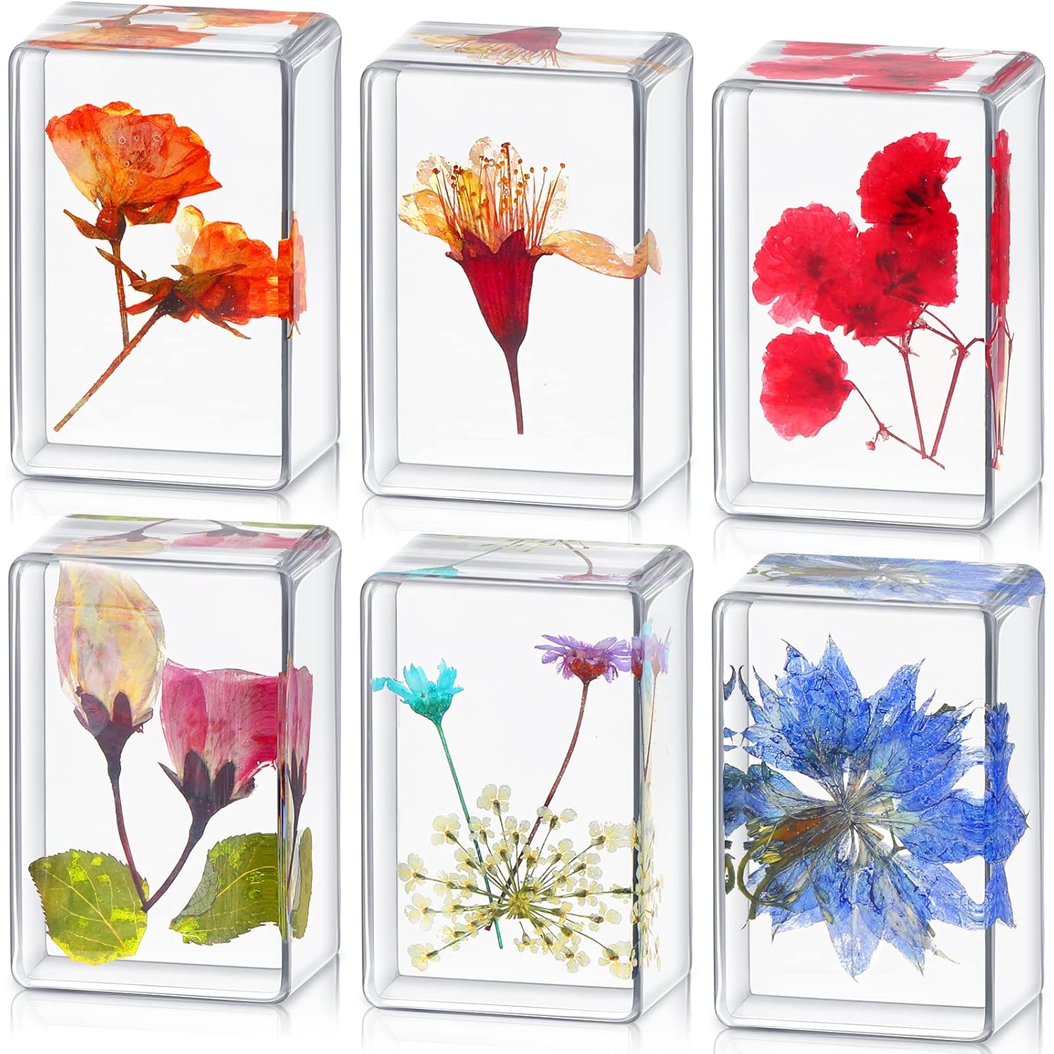 6 Pieces Pressed Flower Paperweight Resin Paperweights for Desk Real