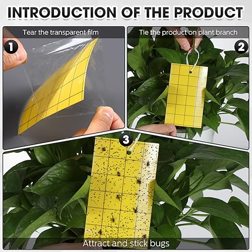 Miniatura 7 de Qualirey Trampa adhesiva amarilla para mosquitos de 3 x 5 pulgadas, trampa adhesiva de doble cara para moscas de frutas con lazo para plantas,