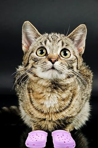 Miniatura 5 de TIktoK Cat Crocs - Sandalias de gato de color caramelo, Crocs decorativos para mascotas solo para gatos y perros pequeños, sesión de fotos (rosa