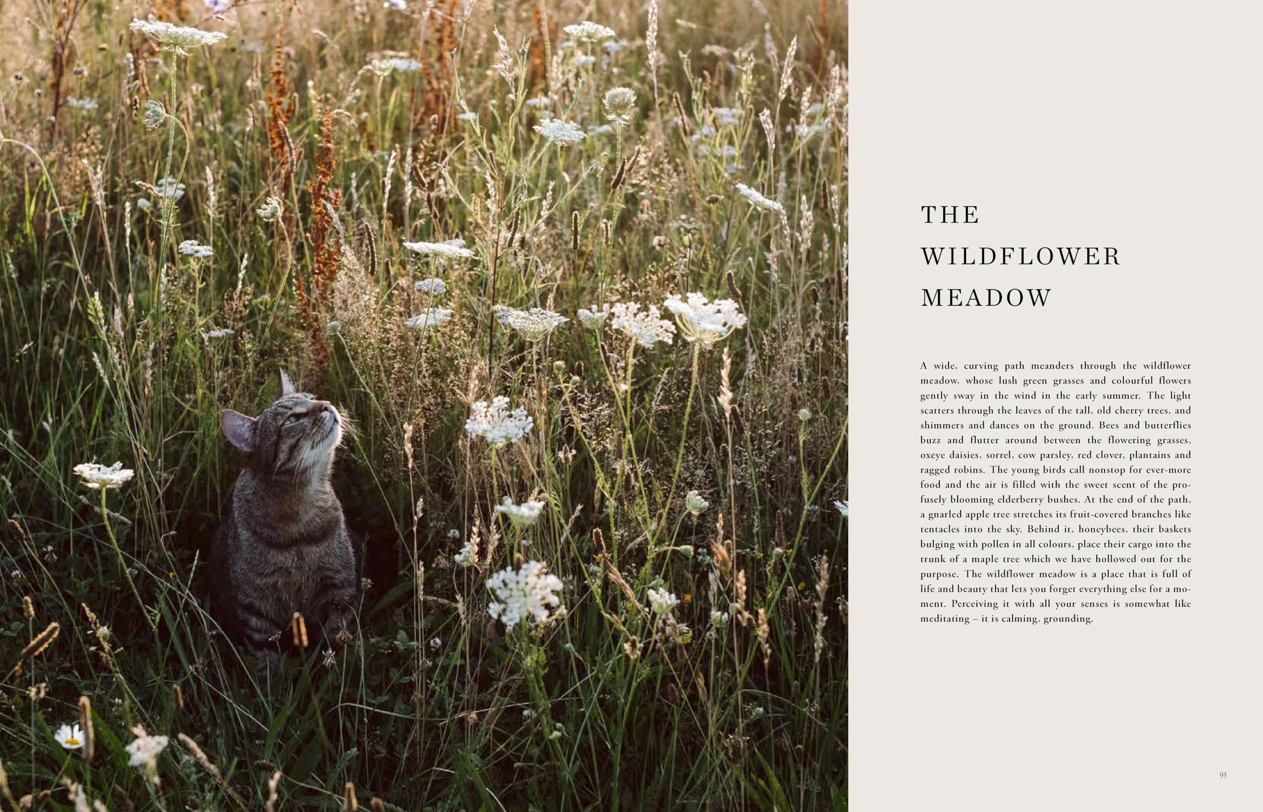 Beyond the Meadows: Portrait of a Natural and Biodiverse Garden by Krautkopf