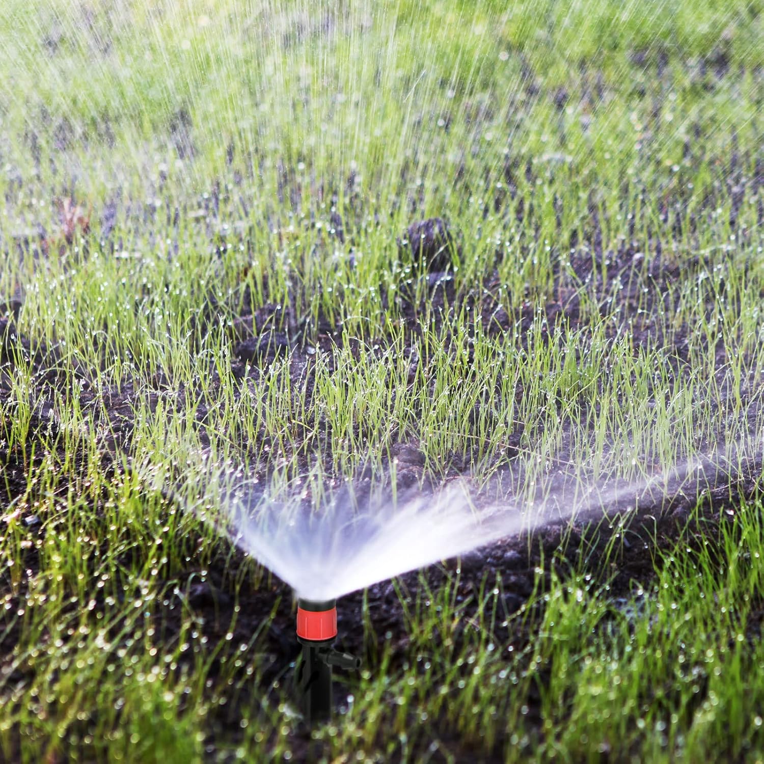 Buy 300 Pcs Drip Irrigation Emitters for 1/4 Inch Drip Irrigation