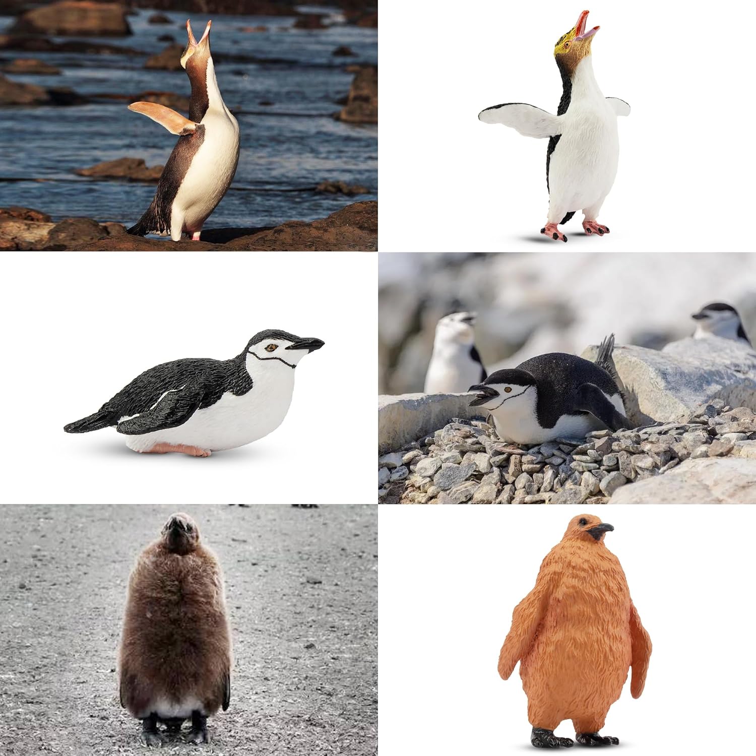 Toymany 20PCS Realistic Wolf Figurines and Penguin Figures, Realistic Arctic Animal Toy Includes Arctic Wolf and Penguin Family Set, Educational Toy Cake Toppers Birthday for Kids Boys