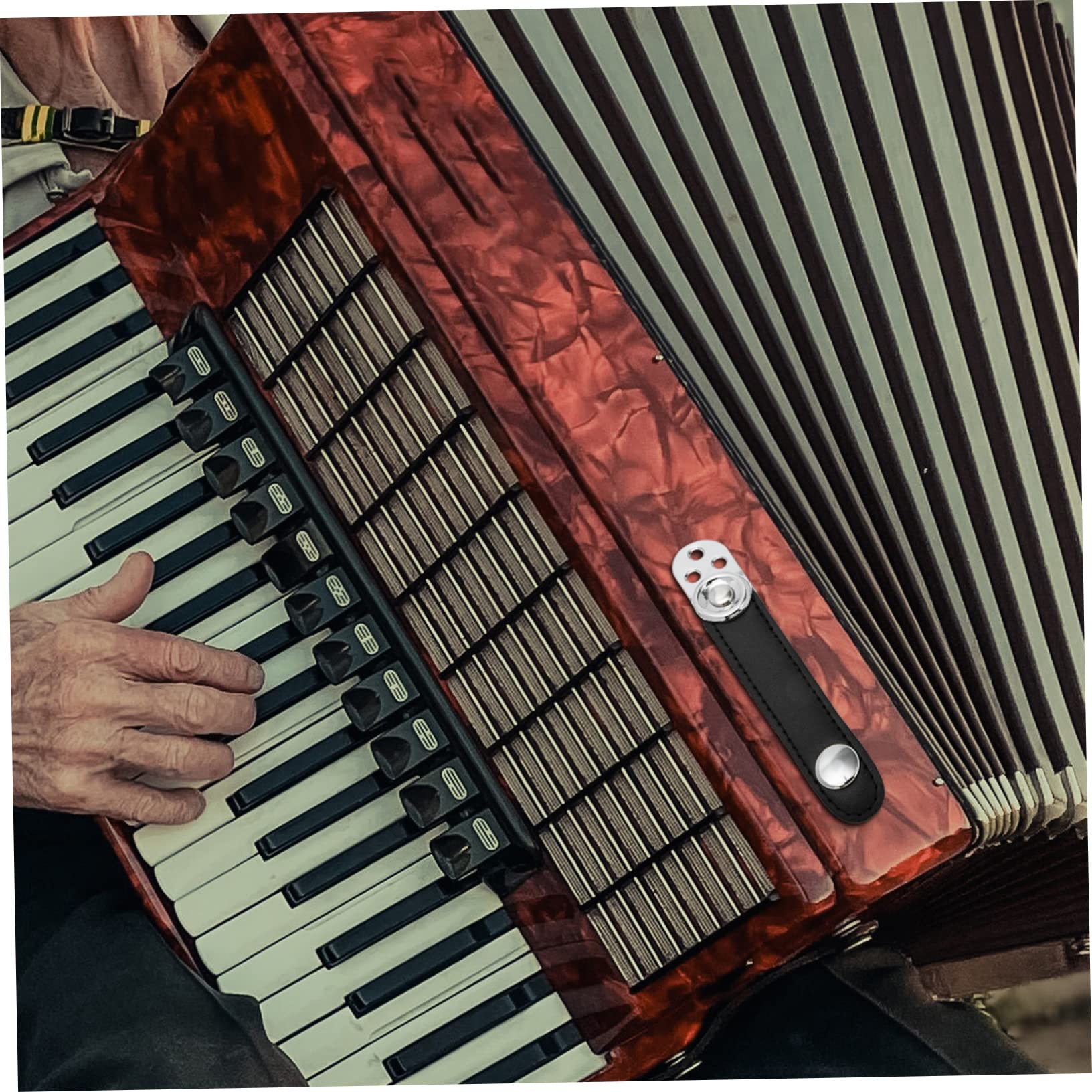 5sets Cinghie Regolabili Per Fisarmonica Con Fibbia Da Accessori Per Strumento Musicale Comode e Resistenti
