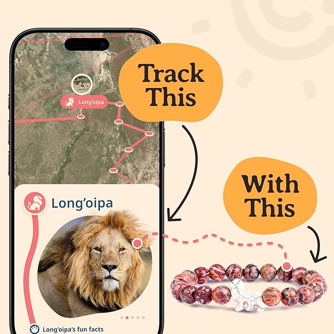 Fahlo Lion Tracking Bracelet Track a Real Lion's Journey Supports Wildlife Conservation Elastic on Interactive Mobile App Map Unisex Conservation Gift