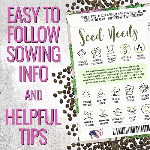 Miniatura 4 de Seed Needs Semillas de plantas sensibles para plantar Mimosa pudica - Flores anuales de polinización abierta y reliquia - Flores rosadas con hojas