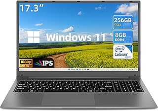 SGIN 17 Inch Laptop, 8GB RAM 256GB SSD Notebook Computer with Windows 11 OS, IPS Full HD Display, Intel Celeron Quad-core Processor, Mini HDMI, Webcam, Wi-Fi, Bluetooth, Expandable Storage 512GB TF