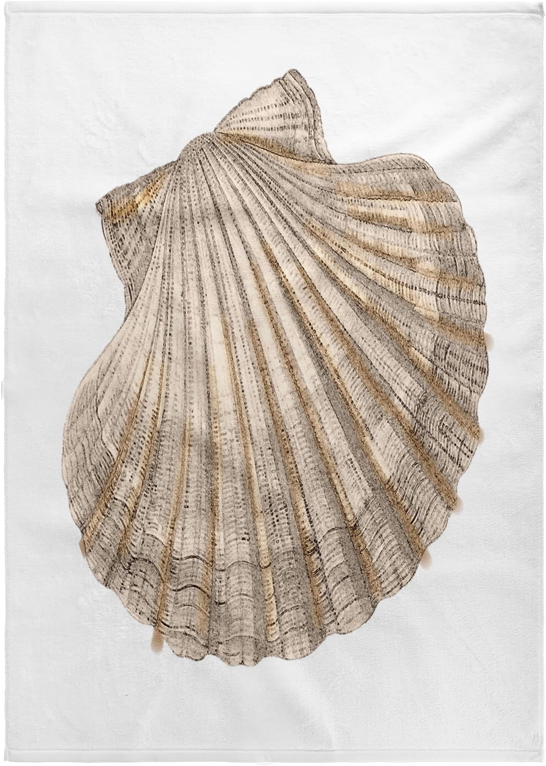 3dRose Scallop Seashell 22x30 Bath Hand Pool Towel