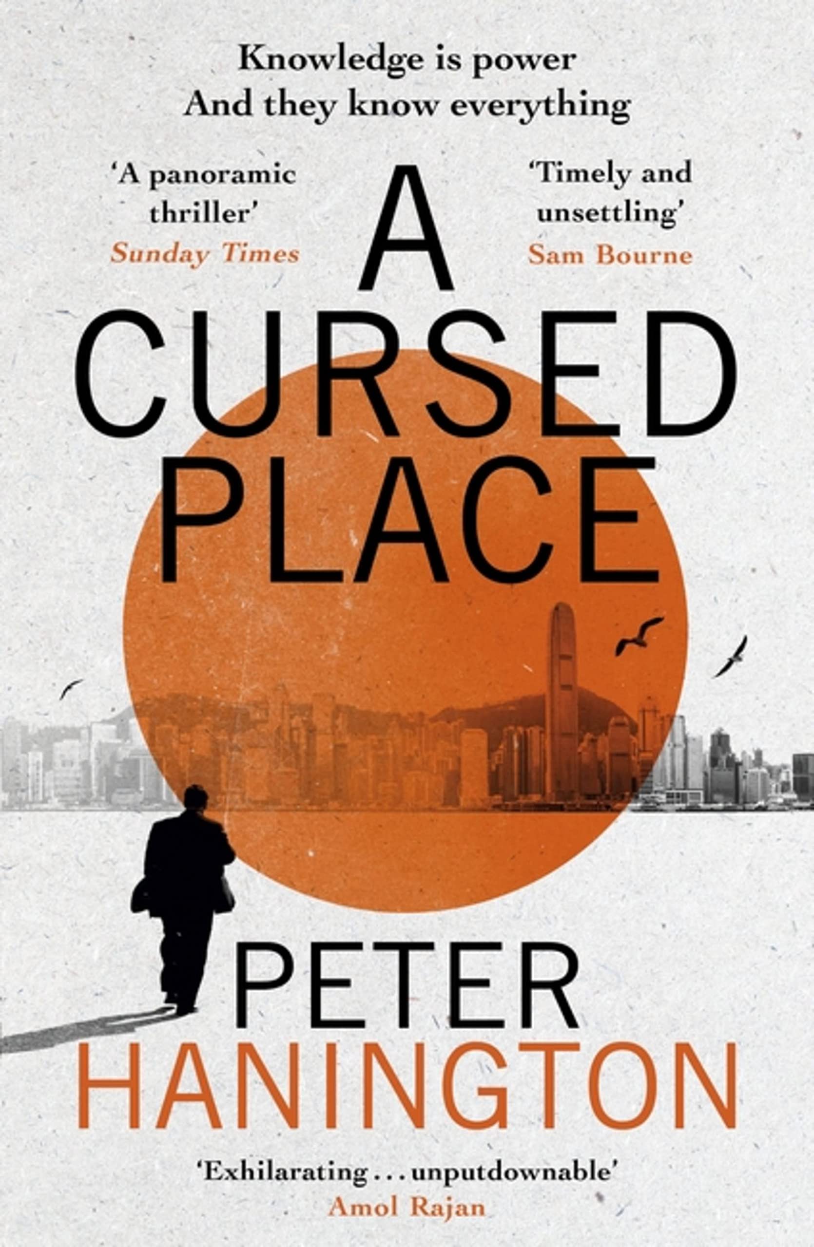 Peter Hanington A Cursed Place Political Thriller Paperback Book