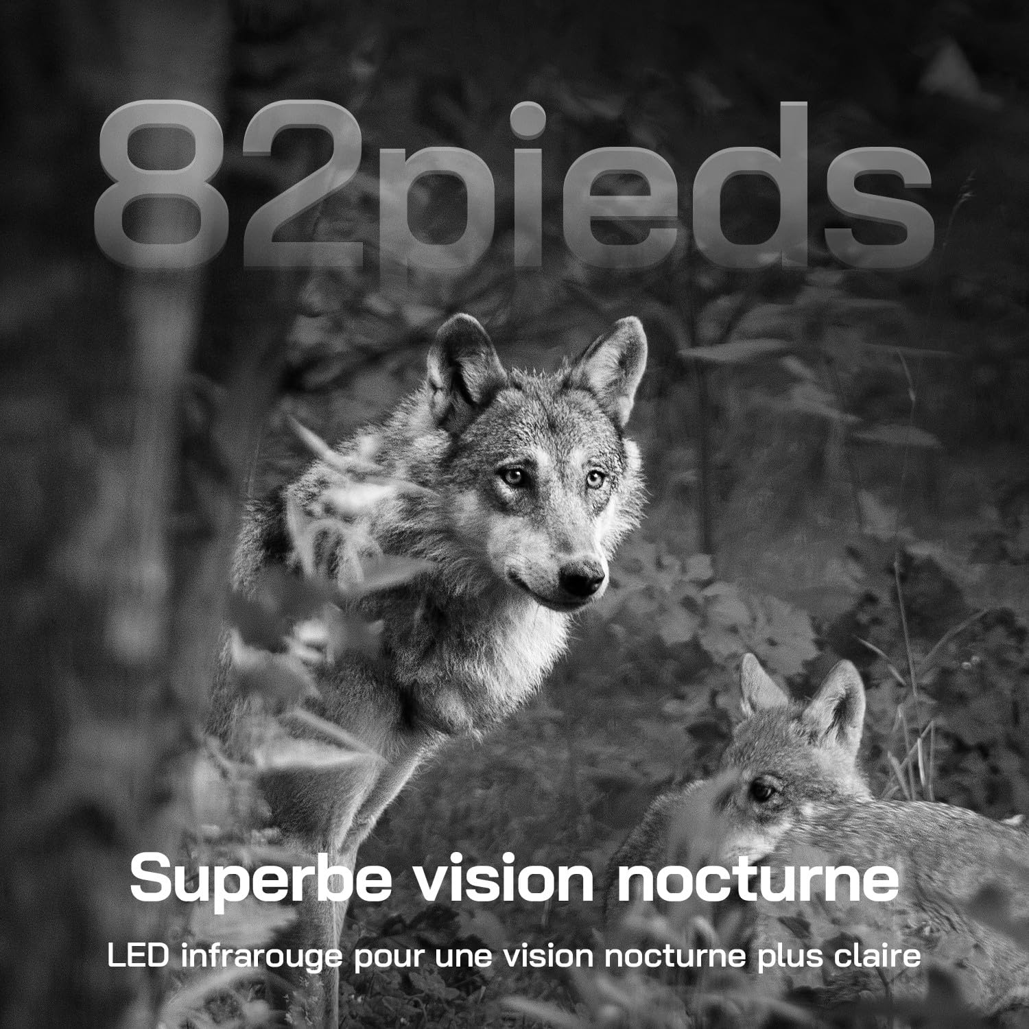 WOLFANG 4G Caméra de Chasse Solaire Extérieure avec Carte SIM, 2.5K Caméra Surveillance sur Batterie avec Détecter l'alarme, Vision Nocturne, IP66 Etanche, Audio Bidirectionnel