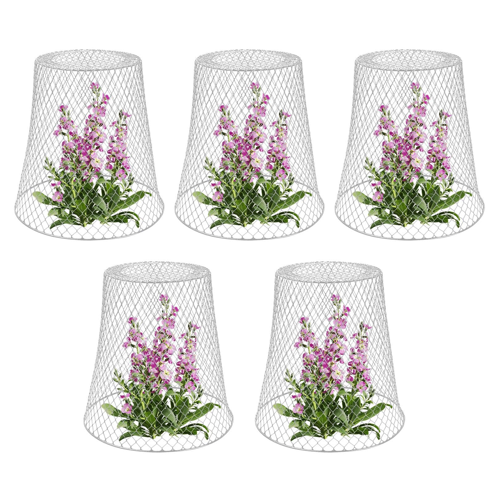 Cloches De Protection Plantes Métal - Lot De 3 Avec 10 Piquets Jardin