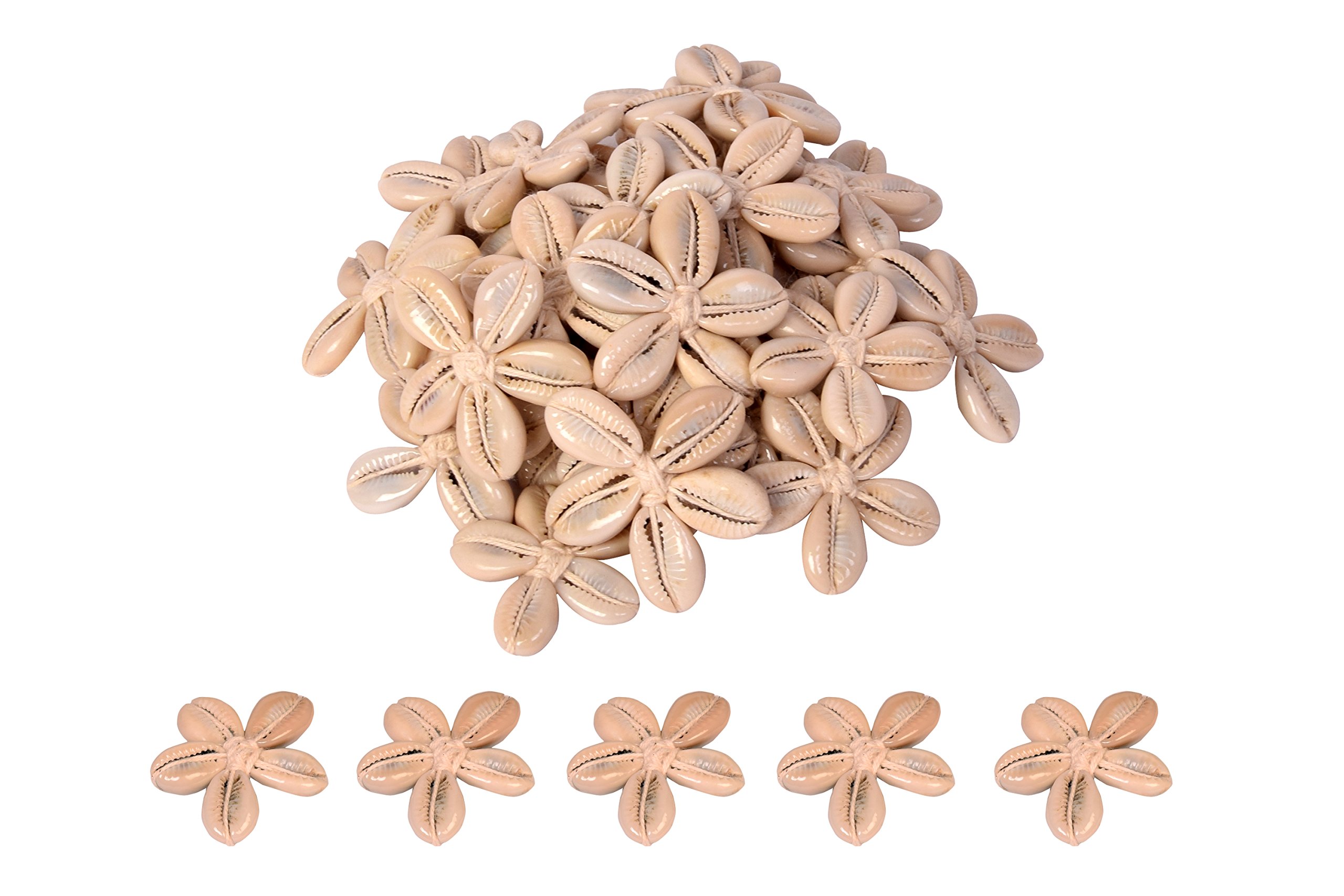 VARDHMAN PRANSUNITA Sea Shells Kowrie Hand Made Flowers,15 pcs, Size 4.5 cm x 4.5 cm, White Color, Used in Dresses,Suits, Home Decor, Art & Craft, Gift Wrapping-image-49