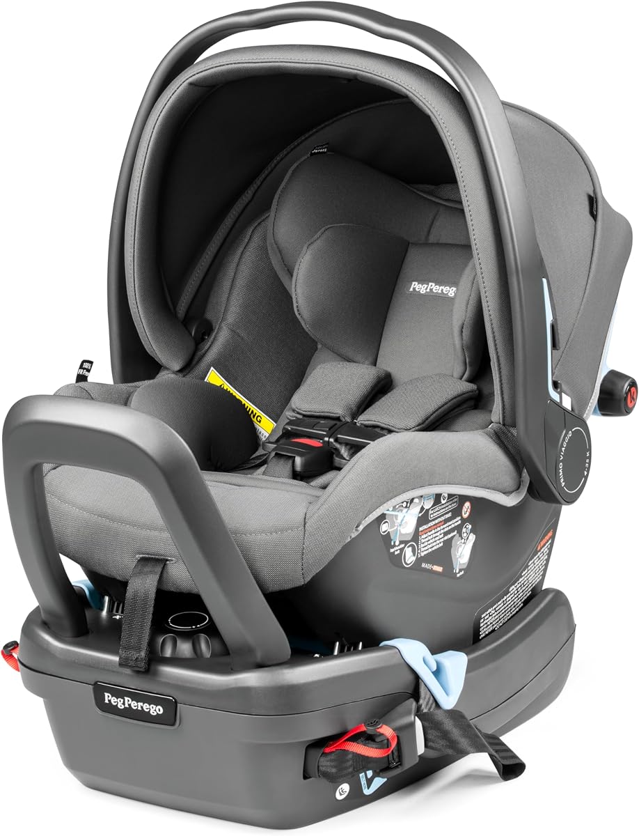 Primo Viaggio - Rear Facing Infant Car Seat - for Babies 4 to 30 lbs - Made in Italy - Mercury (Grey)