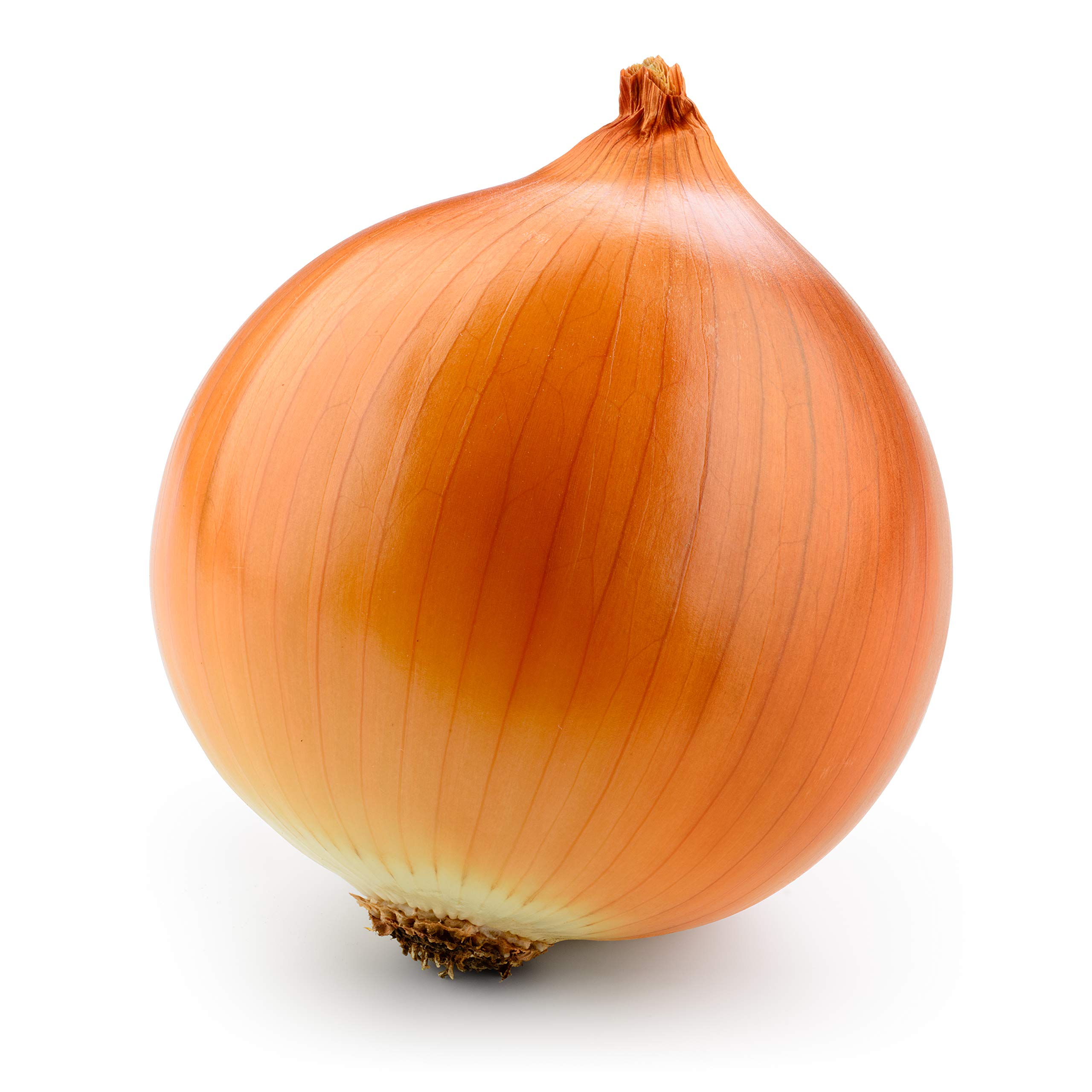 Morrisons Loose Onions, 1 Each