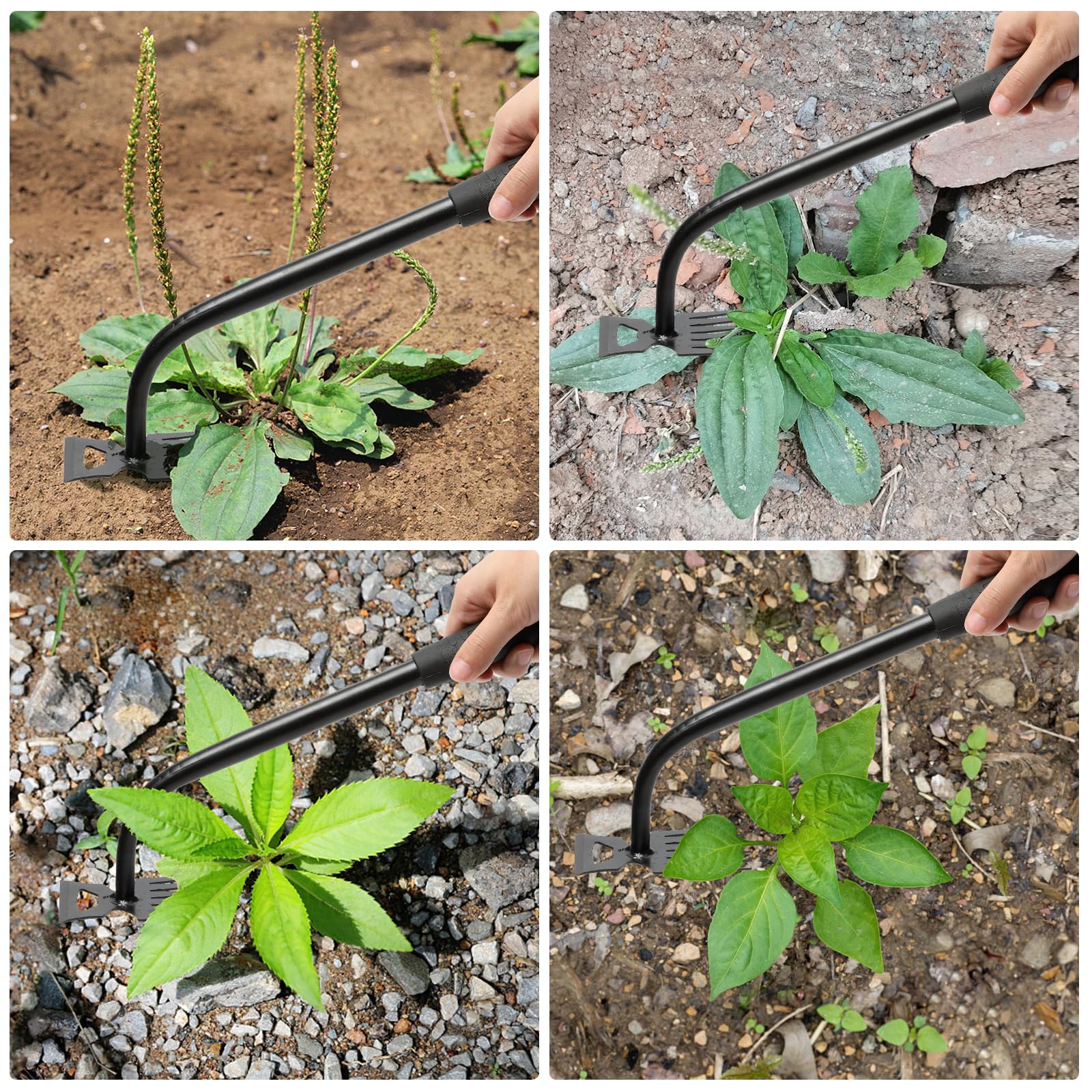Attrezzi da giardinaggio a mano, diserbo artefatto per sradicamento, strumento per diserbo in acciaio al manganese, strumento manuale multifunzionale per giardinaggio per cortile e giardino (6 denti)