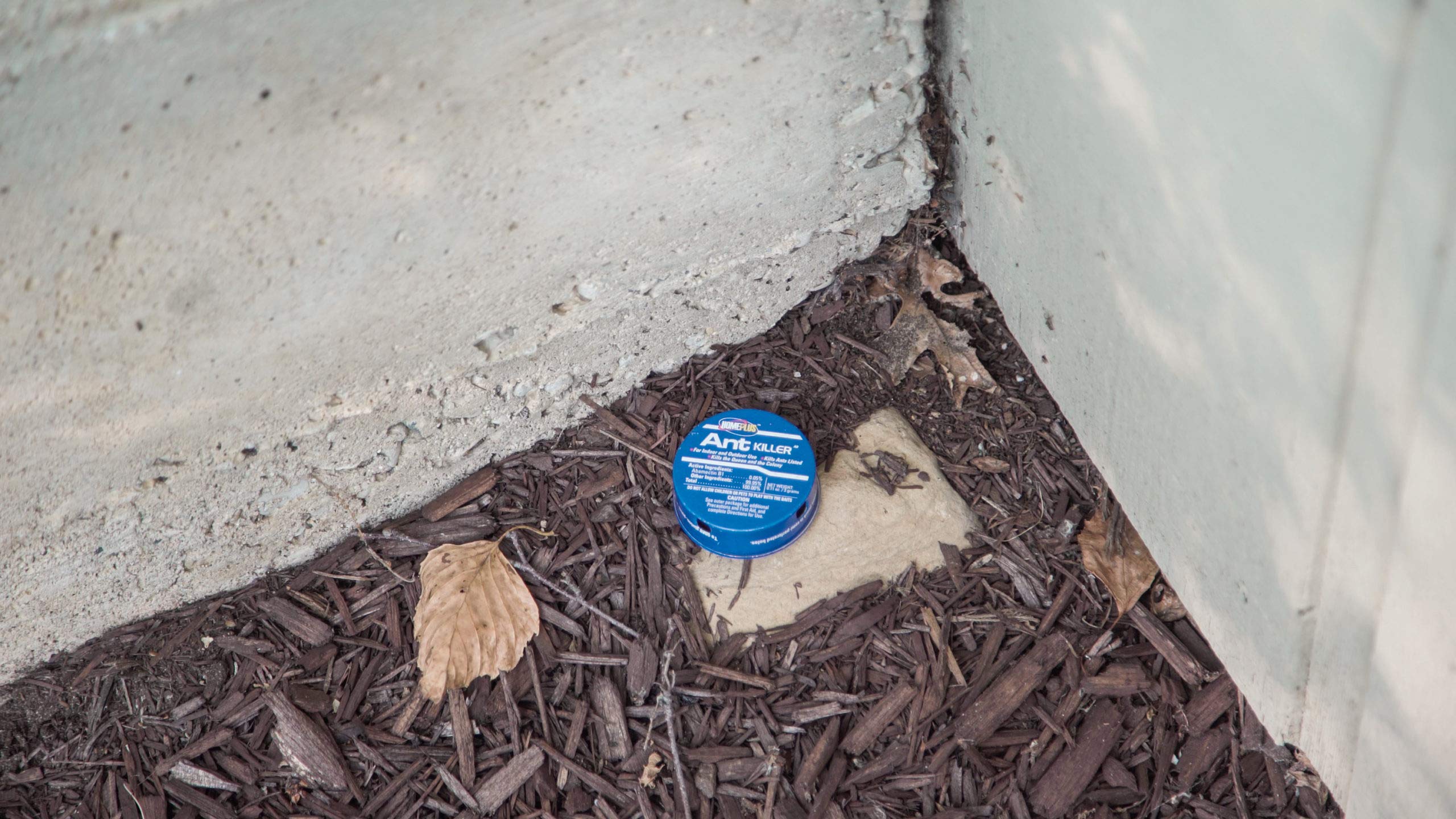 Home Plus Ant Killer (4Pack), Metal Ant Traps Indoor & Outdoor, Ant Bait Station, Pet Resistant