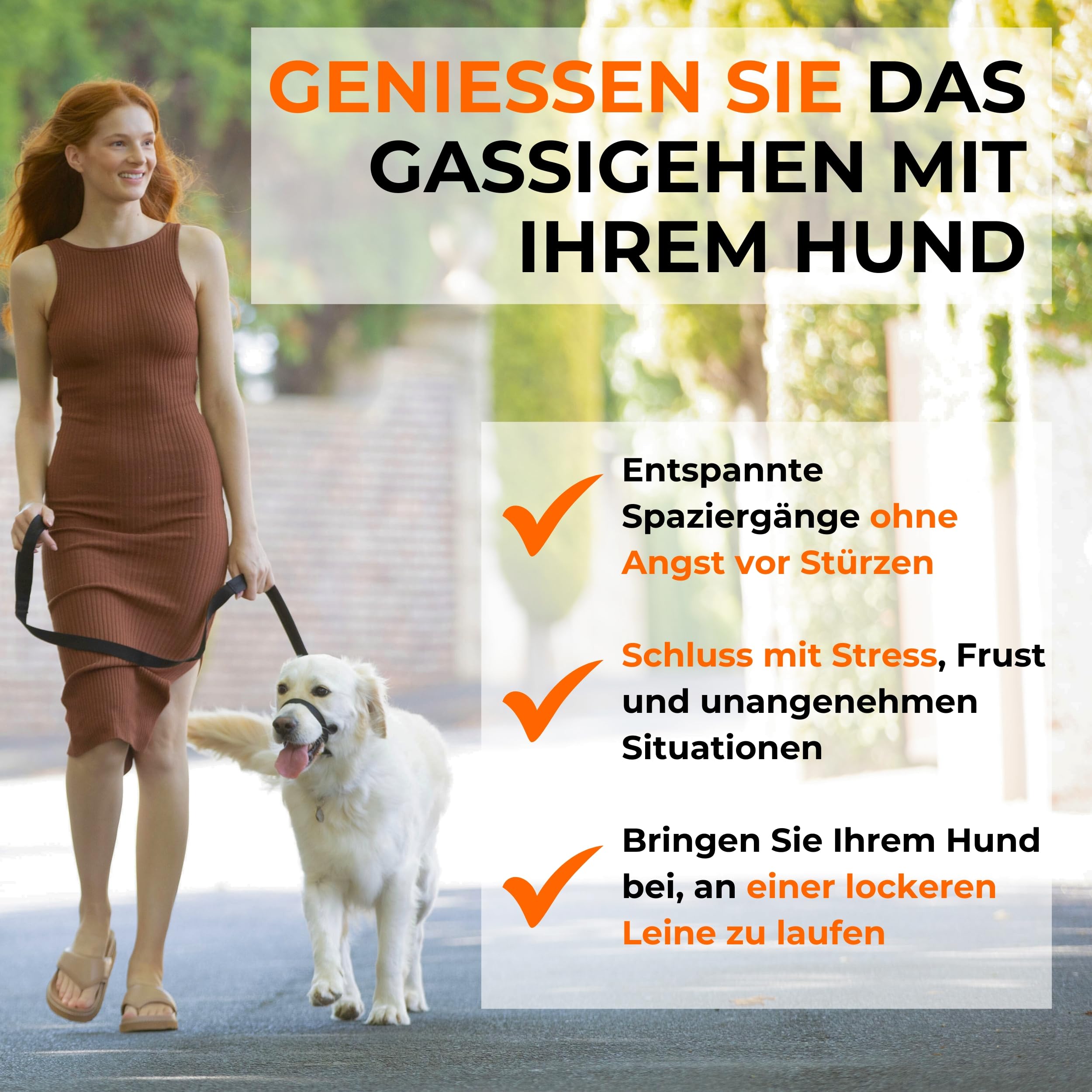 Canny Collar Hundehalsband | Für bessere Leinenführigkeit, lockeres Laufen an der Leine, mehr Kontrolle & entspannte Spaziergänge ohne harte Korrektur.