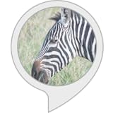 テキストアドベンチャー「アイランド」