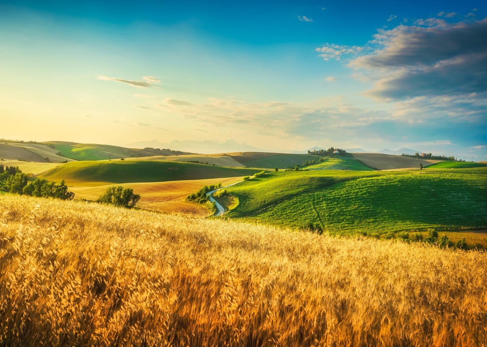 10x6.5FT (3x2m) Colline Verdi E Campi Di Grano Sfondo Fotografico