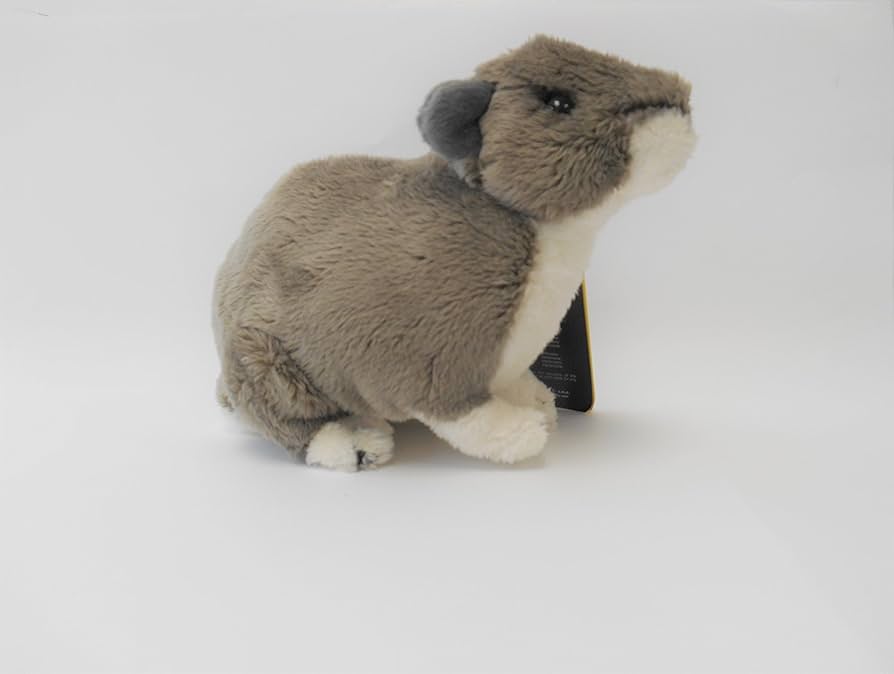 ぬいぐるみ 赤ちゃん ミニベビーマスコットぬいぐるみ – KAWASAKI BRAVE THUNDERS