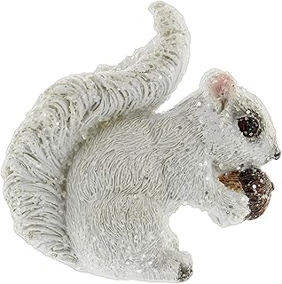 Amazon Com White Squirrel Amazon Com White Squirrel