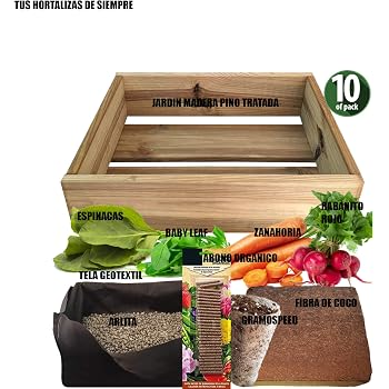 Sembra - Mi primer huerto de hortícolas, juego educativo (8707 ...