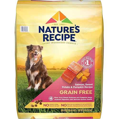 Nature's Recipe Grain Free Dry Dog Food, Salmon, Sweet Potato & Pumpkin Recipe, 34 lb. Bag