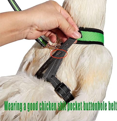 Miniatura 5 de Arnés de pollo tamaño gallina con correa a juego de 6 pies lavable para mascotas, para pollitos, gansos, patos y más - Facilita el entrenamiento y