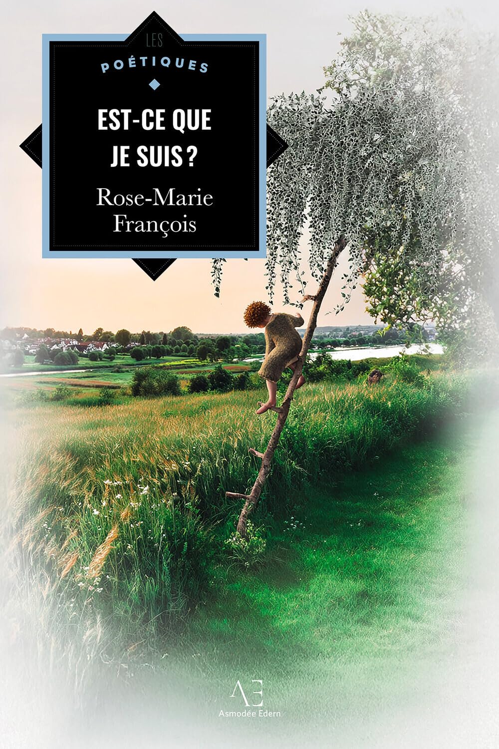 Est-ce que je suis ?