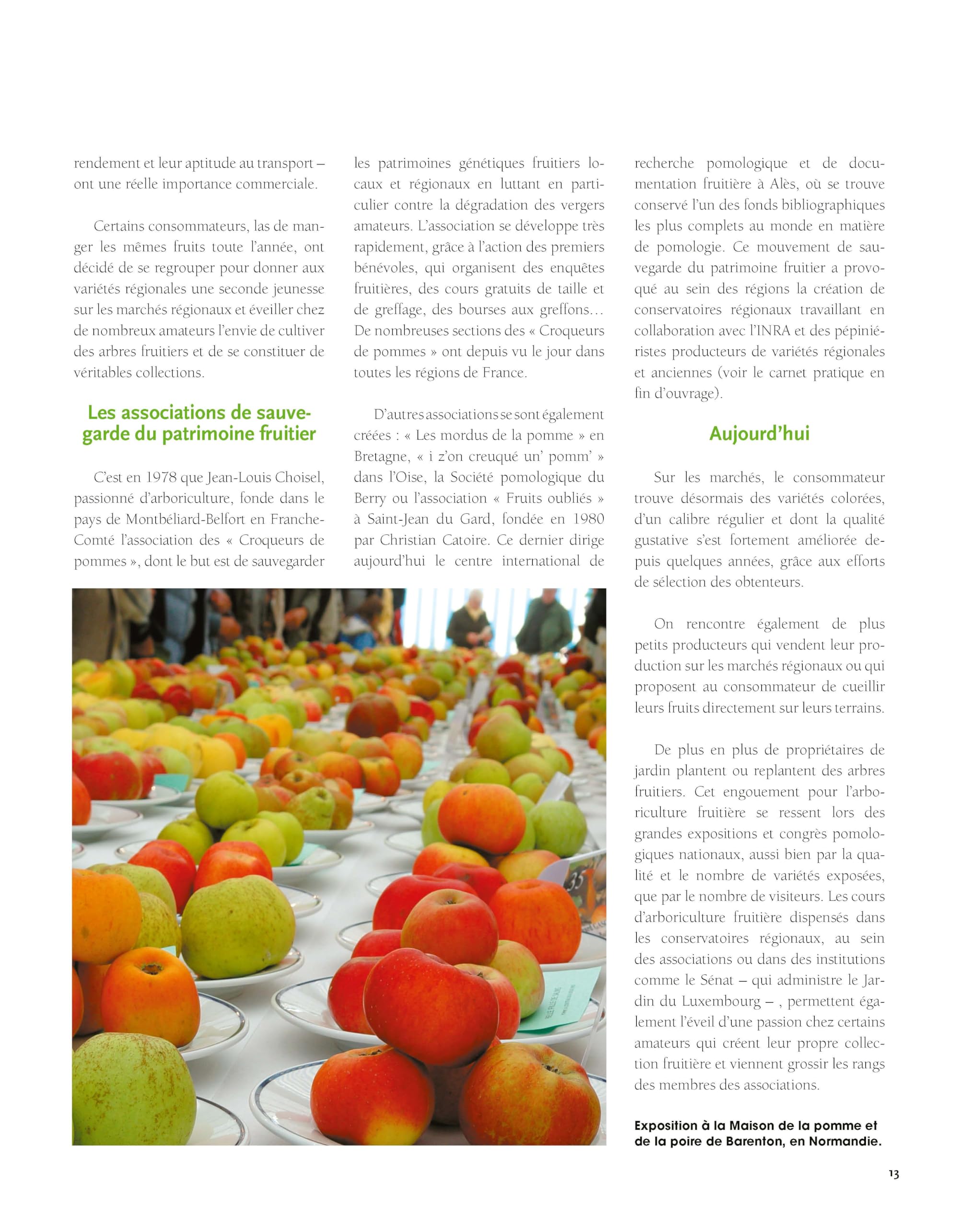 Le traité Rustica des arbres fruitiers