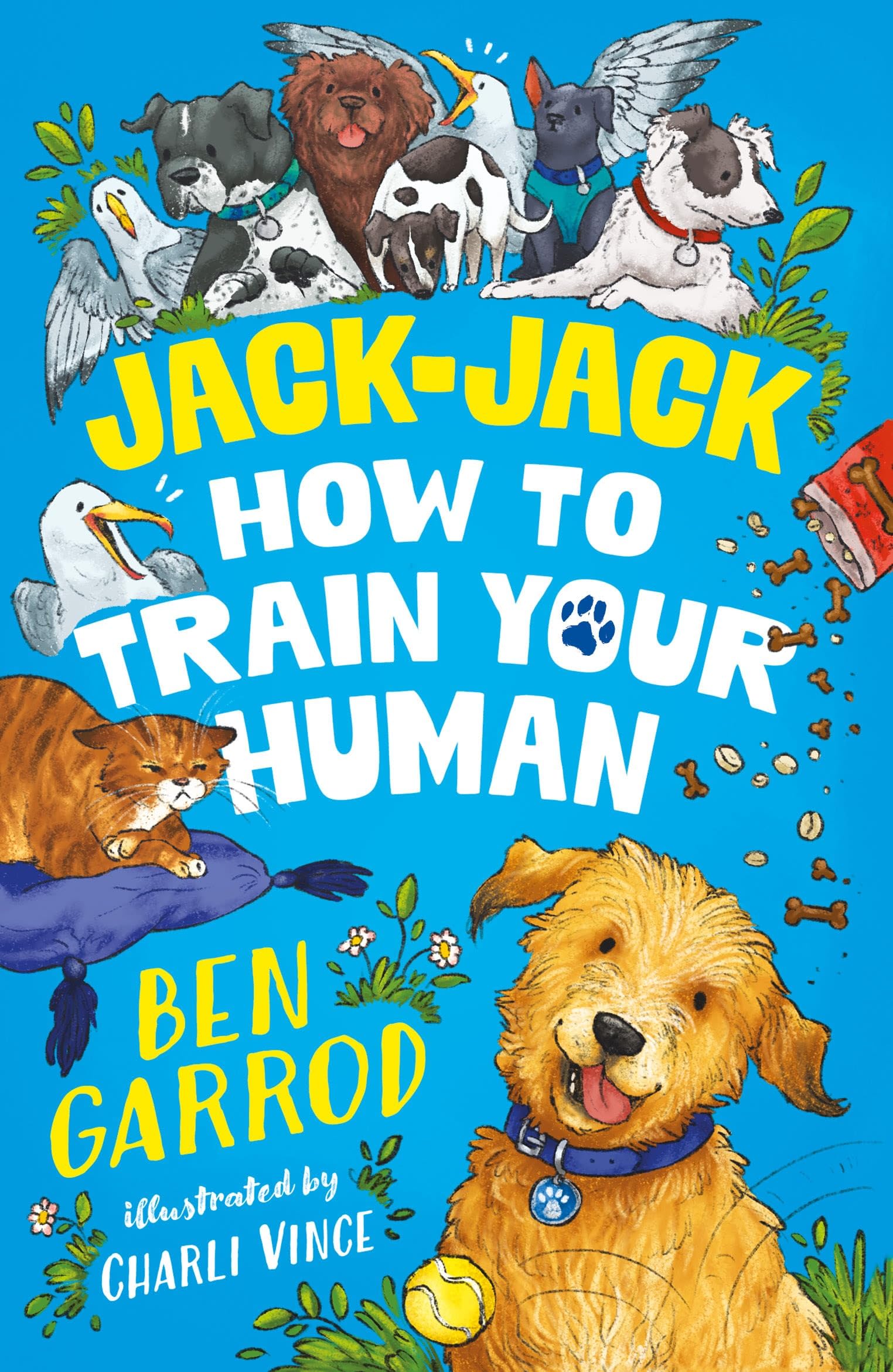 Jack-Jack, How to Train Your Human (The Adventures of a Dog Called Jack-Jack)