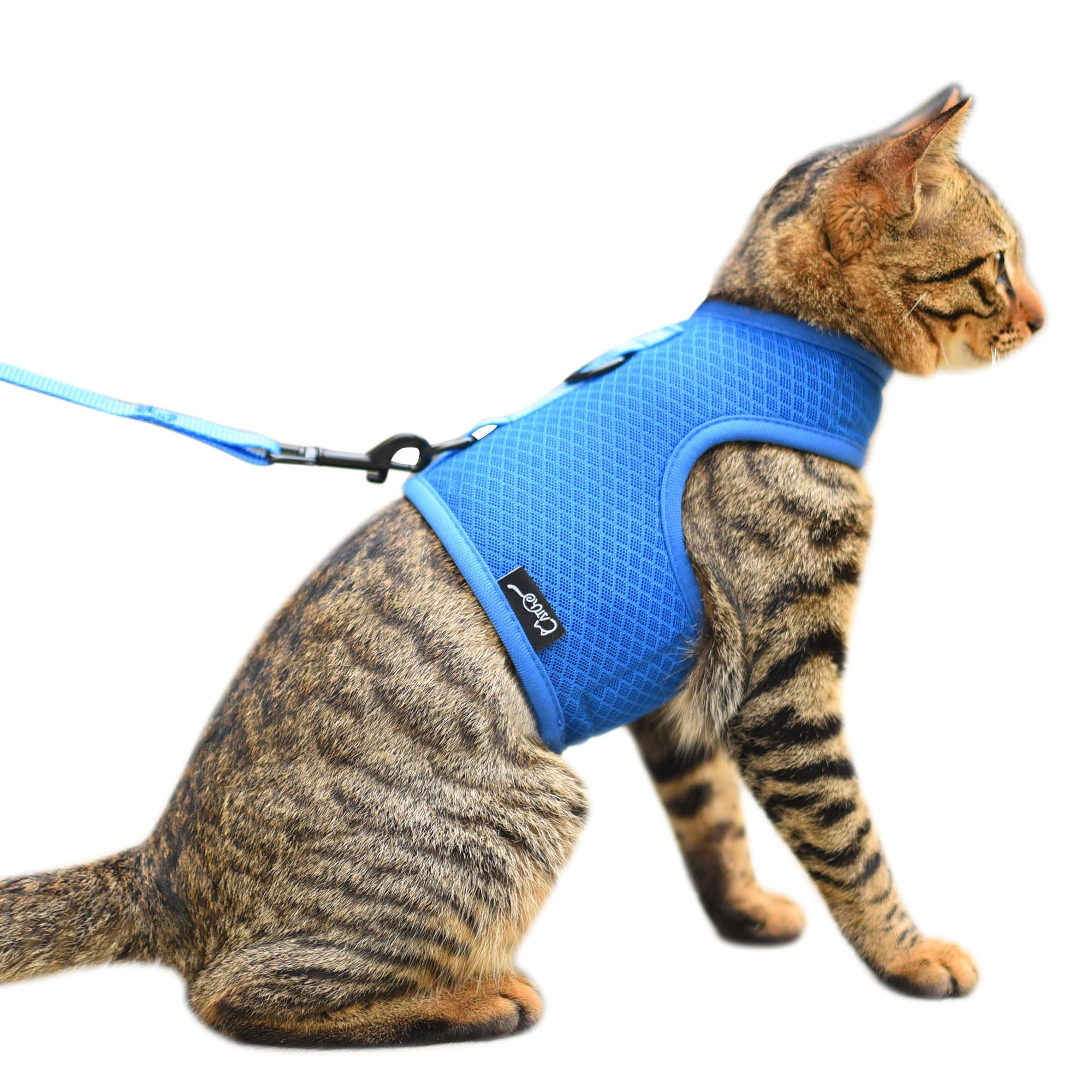 Cat Harness and Leash Set for Walking Escape Proof, Blue, Medium