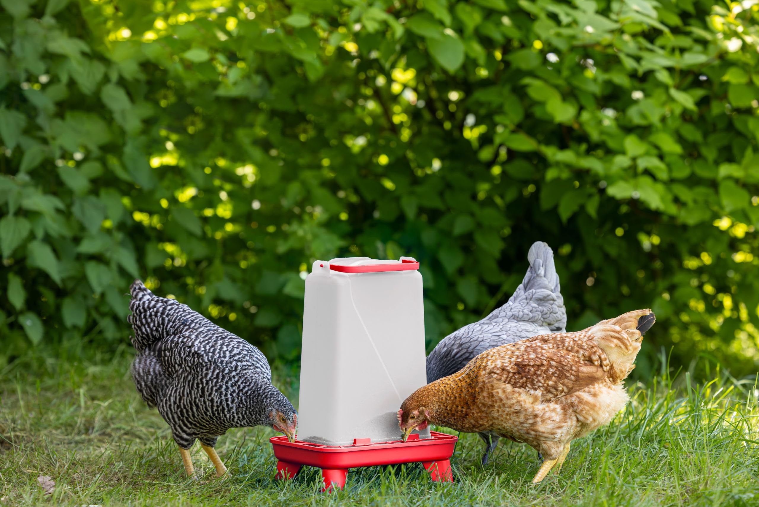 Kerbl Hobbyfarming Automatic Feeder with Feet, 3.5 L, Red/White, 16.5 x 24.5 x 35 cm, Poultry Machine, Feeder, Plastic, Poultry