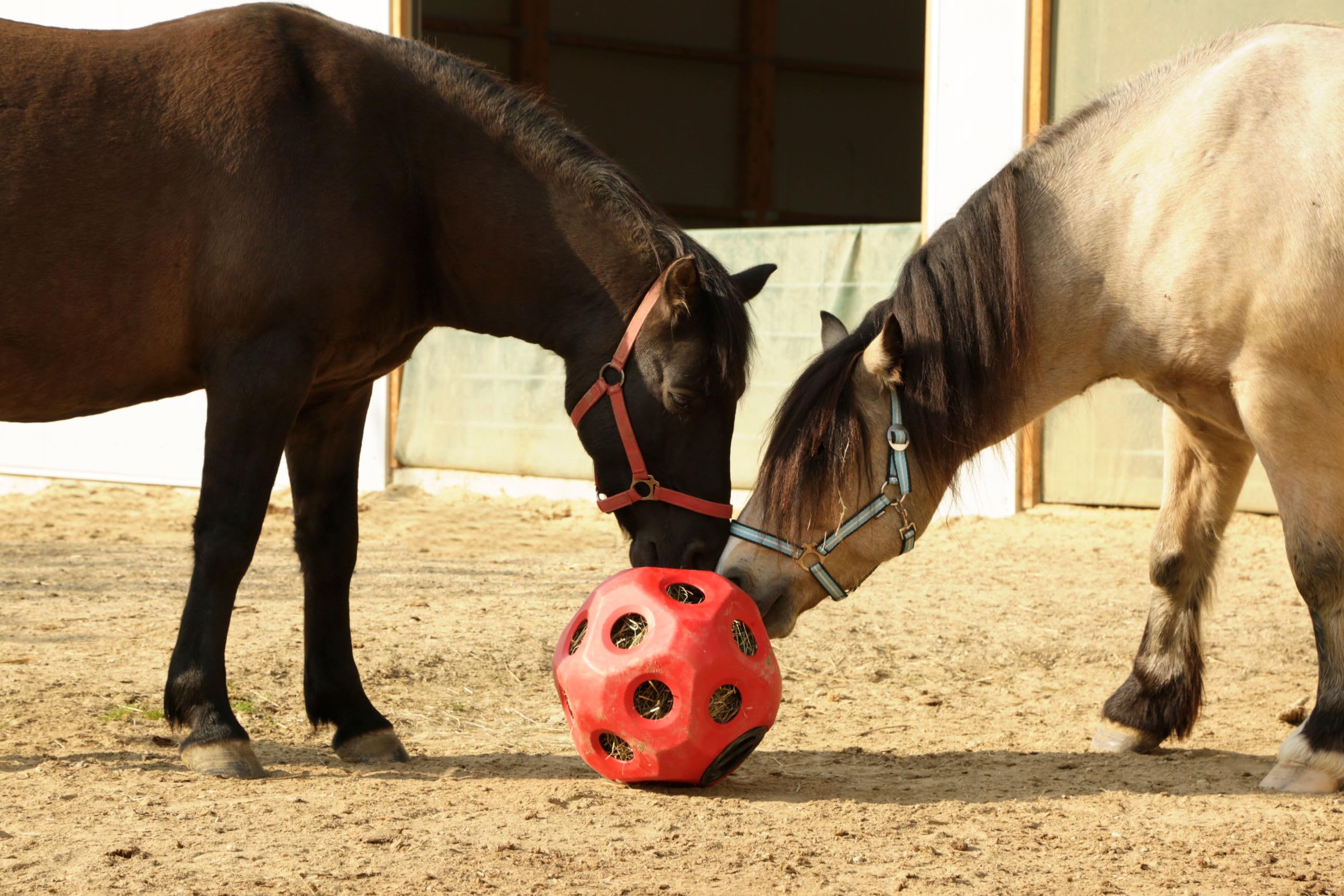 Kerbl Pelota de alimentación roja Ø40 cm rellenable para caballos y terneros